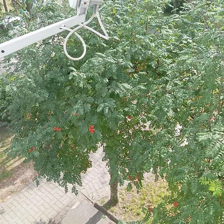 Mieszkanie Wsrod Zieleni Daire Mrągowo